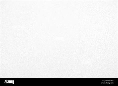 White Leather Texture Hi Res Stock Photography And Images Alamy
