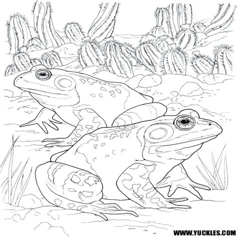 Frog And Toad Printable Coloring Pages Printable Word Searches