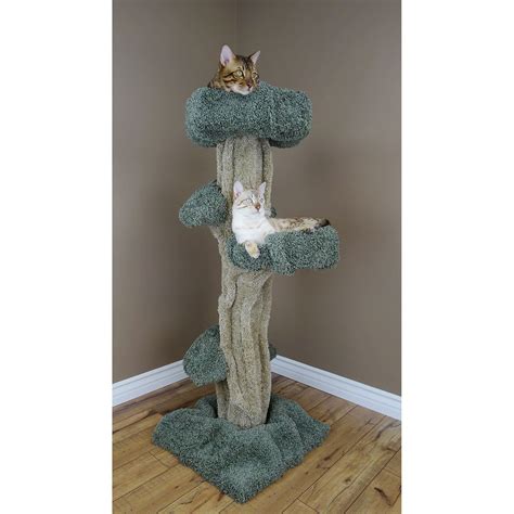 Can remove or add additional parts with request. New Cat Condos Large Play Cat Tree - Cat Trees at Hayneedle