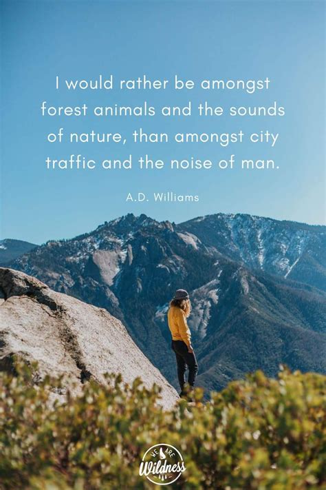 Pin By Aly Hess On Adventure Quotes Forest Animals True Nature