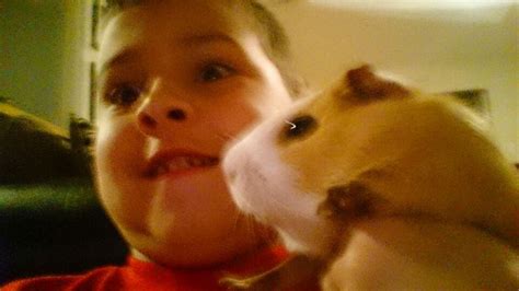 Hamster Animals Selfie