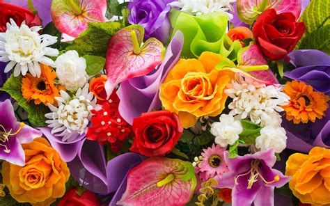 Beautiful Colorful Flowers Wide 134969105