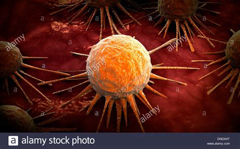 Cancer High Resolution Stock Photography And Images Alamy