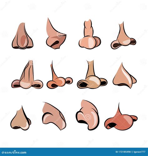 Nose Cartoon Set For Character Animation Vector Image Sexiz Pix