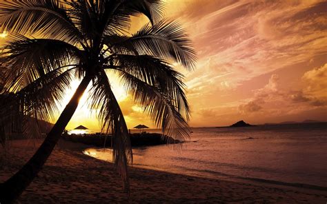 Summer Beach Sunset Wallpaper