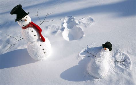 Nature Winter Snow Shadow Snowman Top Hat Humor