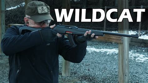 Winchester Wildcat 22lr Review Youtube