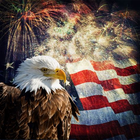 Top 90 Wallpaper Happy 4th Of July Bald Eagle Updated