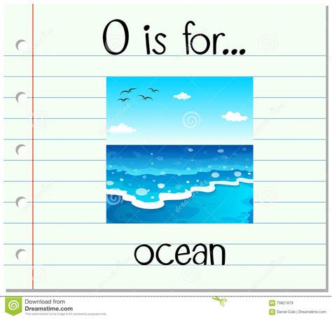 Ocean Flash Cards 0cb