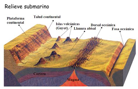 Relieve Oceánico ¿qué Es Características Tipos Y Más