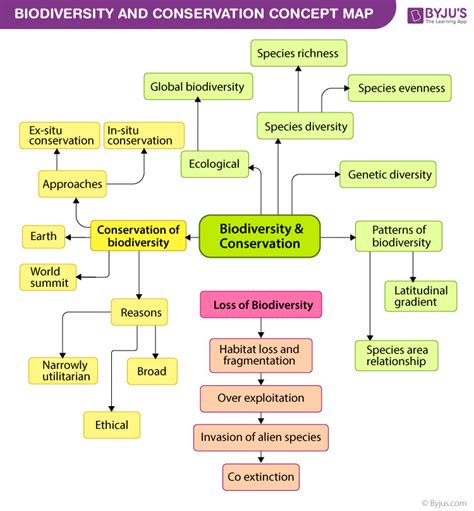 Biodiversity And Conservation Concept Map An Overview