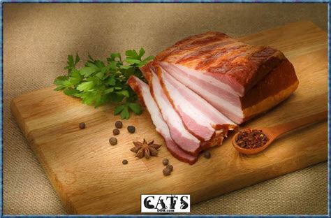Veterinarian's thoughts on can cats eat honey? Can Cats Eat Ham? - CatsDom