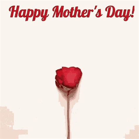 List 92 Images Happy Mother S Day To All Mothers Images Superb 10 2023