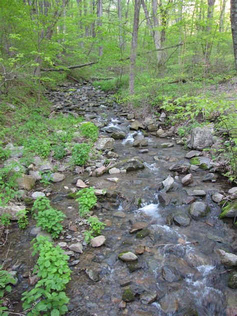 Mountain Creek In Shenandoah National Park Kghawes Flickr