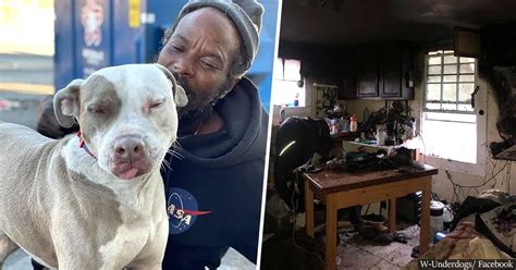 Homeless Man Hailed A Hero After Rescuing Dozens Of Cats And Dogs From
