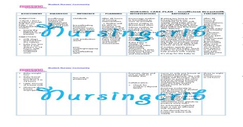 Nursing Care Plan For Insufficient Breastmilk Ncp Pdf Document