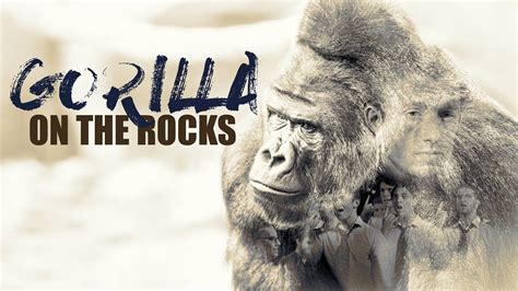 On The Rocks Gorilla Official Music Video Youtube