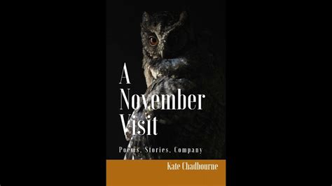 Lauren Passarelli ~ A November Visit ~ Audio Book By Kate Chadbourne