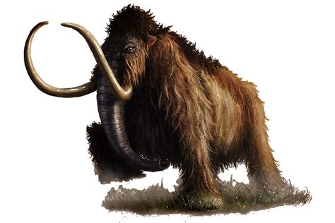Mammoth Unknown Artist Minor Photoshop Work By Brumby Prehistoric