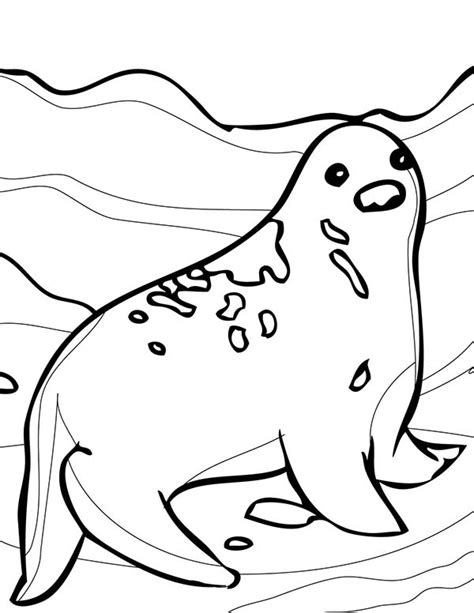 Awesome Arctic Animals Seal Coloring Page Kids Play Color