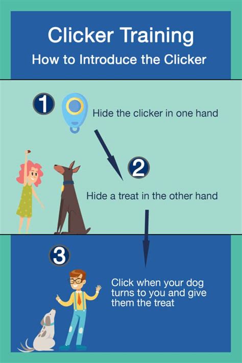 How To Use Clicker Training Benefits Exercises And Tips
