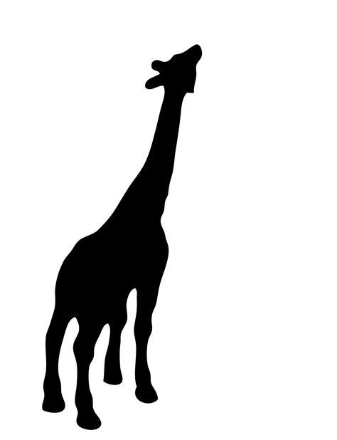 Giraffe Black Silhouette Free Stock Photo Public Domain Pictures