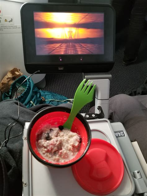 Travel Food Plant Based On A Plane
