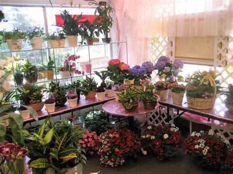 Send flowers online or balloons today by placing the online order prior to 3pm in the delivery zip code. Pin by FTD Featured Florists on Connecticut/Greenwich ...
