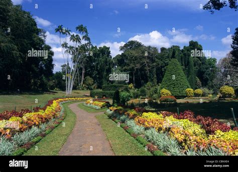 Peradeniya Botanical Garden Kandy Sri Lanka Stock Photo Alamy