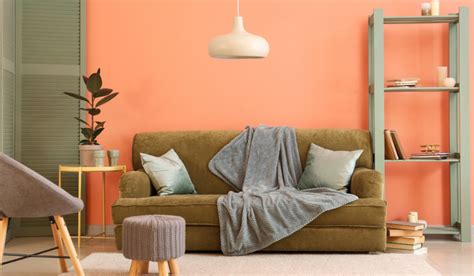 Peach And Grey Living Room Ideas Baci Living Room