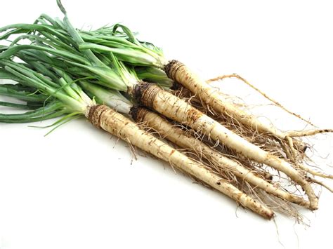 Growing Salsify All The Top Tips For Success