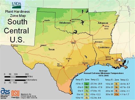 Find Your Usda Zone With These State Maps Plant Hardiness Zone Plant