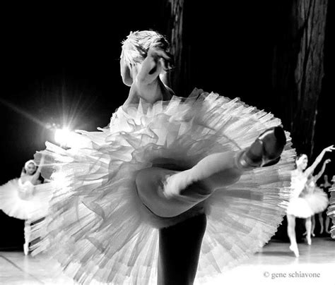Pin By Ashley Swain On The Ballerina Project Swan Lake Ballerina