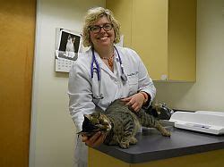 8 am to 6:00 pm sat: The Cat Clinic | Best Friends Veterinary Medical Center