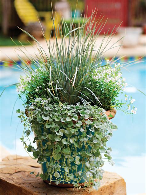 Best flowers for pots uk. A container garden is the ultimate accessory for your ...