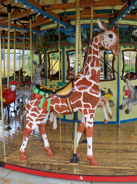 Oh Akron Akron Zoo Conservation Carousel The Akron Zoo C Flickr