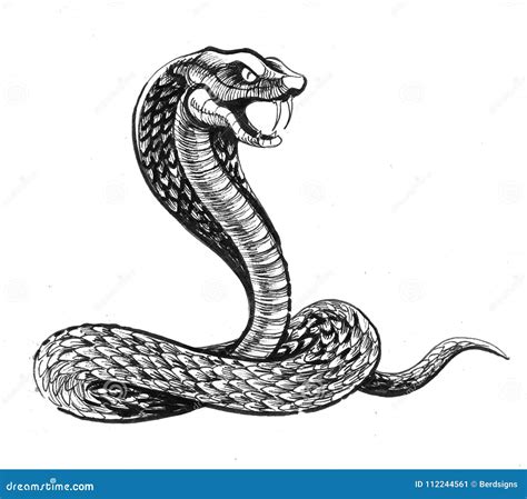 Angry Cobra Cartoon 65370303