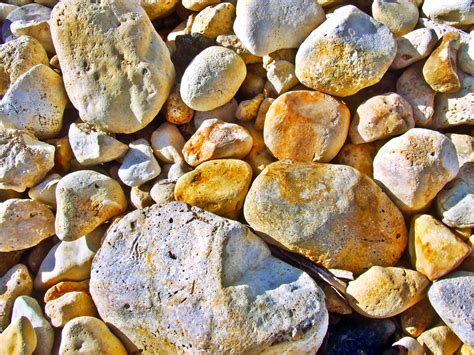 Beach Pebbles Stones Rocks Free Stock Photo Public Domain Pictures