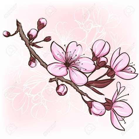 Cherry Blossom Decorative Floral Illustration Of Sakura Flowers Stock