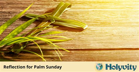 Reflection Palm Sunday Holyvity
