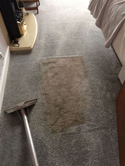 Like New Carpets Dont Waste Money On Buying New Carpets We Can Get