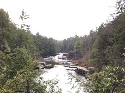 Swallow Falls State Park All You Need To Know Touristsecrets