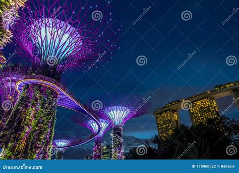 View Of Garden By The Bay At Night Singapore Editorial Photography