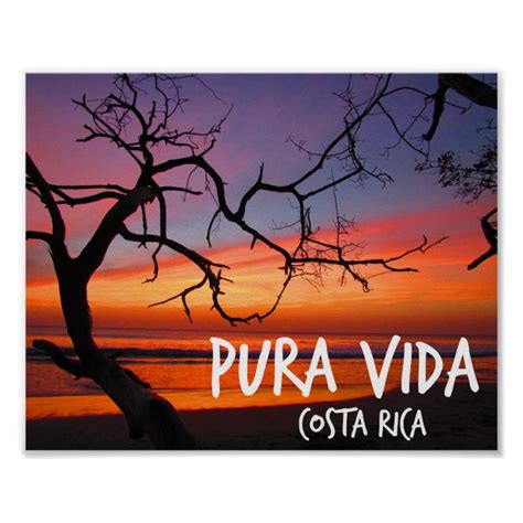 Pura Vida Costa Rica Sunset Poster Zazzle