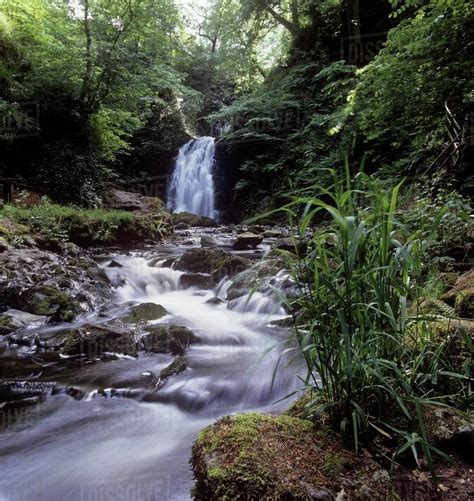 Waterfall In A Forest Glenoe Waterfall Glenoe County Antrim