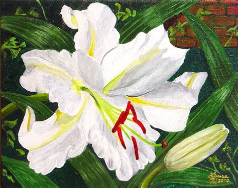 Showcase your mid through late summer garden with the casablanca lily's enormous white blooms. Casa Blanca Lily Painting by Laura Wilson