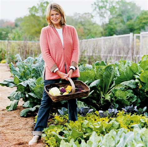 Design Confidential Martha Stewart Shares Her Summer Entertaining