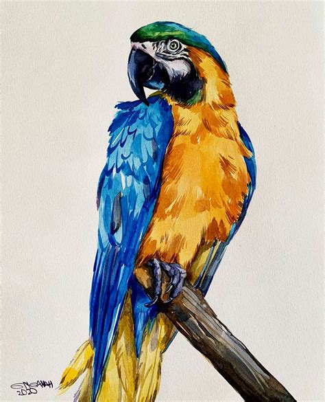 Original Watercolor Paintingcolorful Blue Yellow Macawmacaw Painting