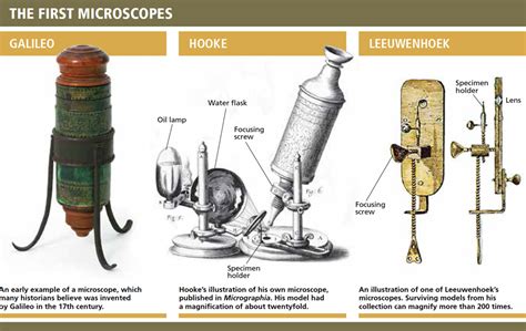 Leeuwenhoeks Lucky Break Microscope Microscopic Anton Van