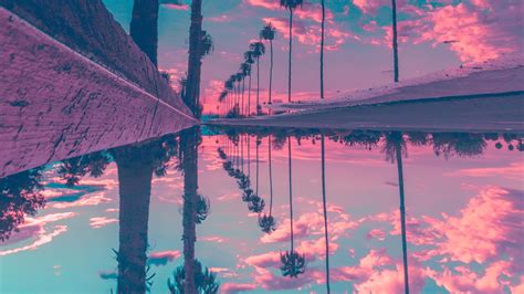 Palm Trees Reflection Sky 4k Hd Nature Wallpapers Hd